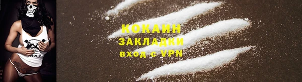 эйфоретик Арсеньев