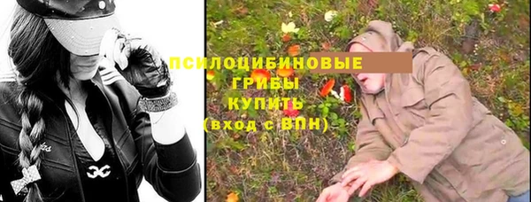 эйфоретик Арсеньев