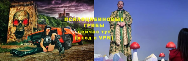 эйфоретик Арсеньев