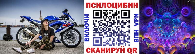 Псилоцибиновые грибы Psilocybine cubensis Приозерск